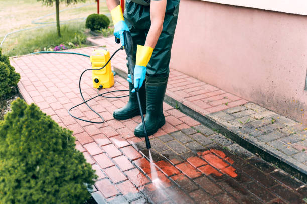 Best Solar Panel Cleaning  in Four Corners, MD
